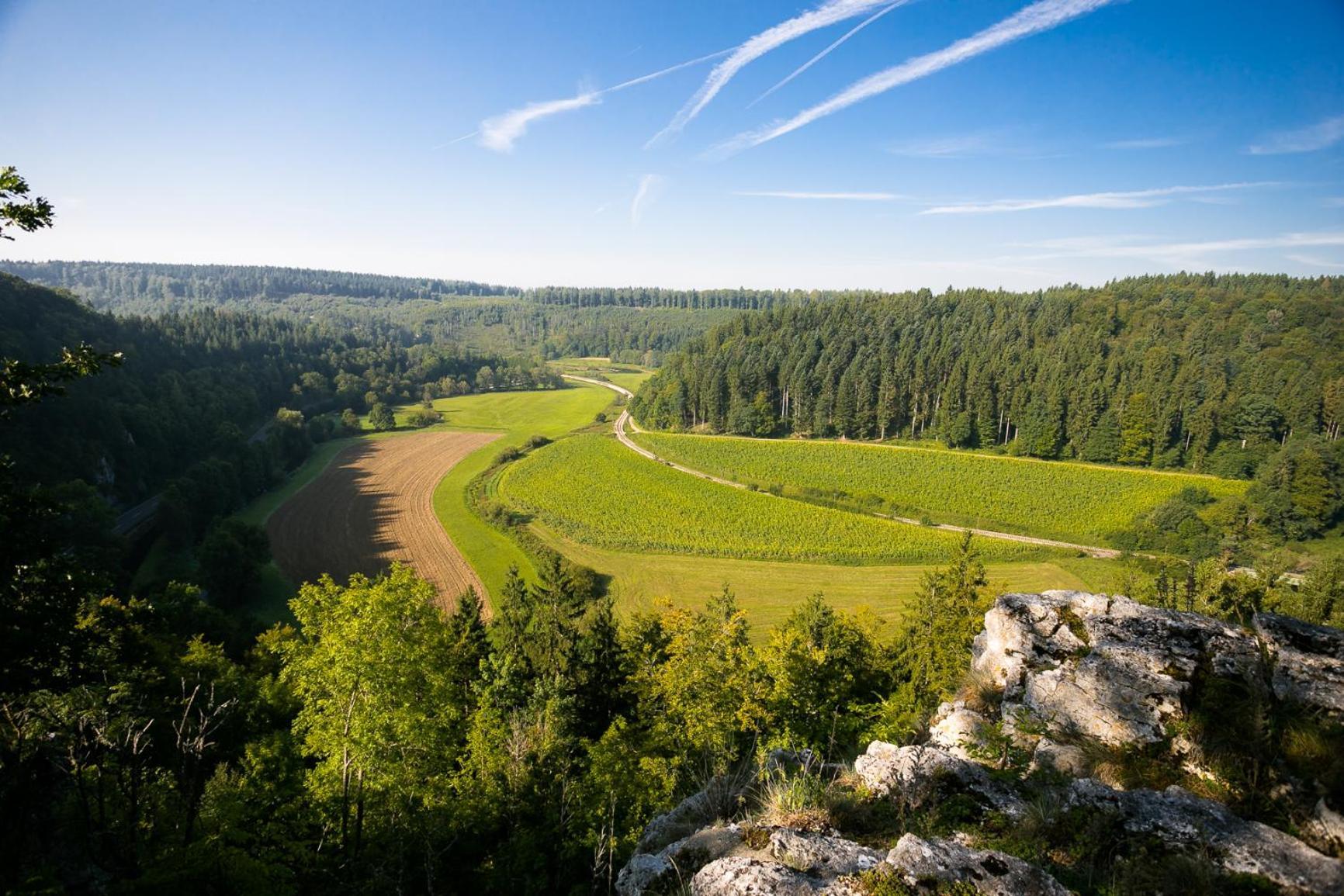 Haus Wiesengrund - Hundefreundlich Gammertingen Luaran gambar